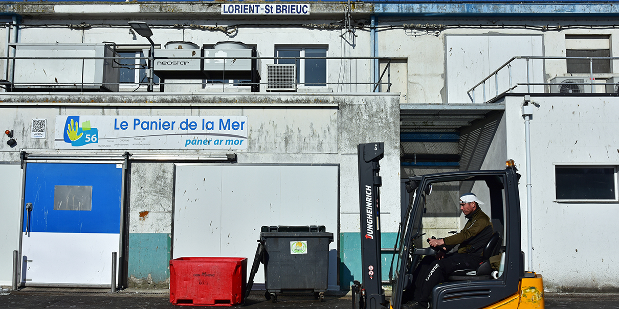 Installé au port de pêche, le Panier de la Mer de Lorient accueille 50 salariés en insertion chaque année.