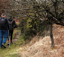 Le GR 37, sentier de grande randonnée en centre Bretagne