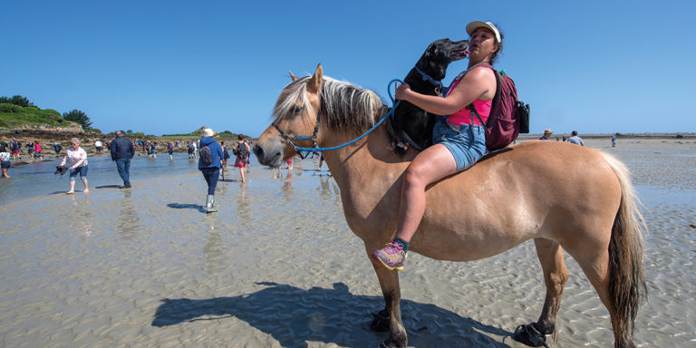 Pardon aux chevaux de Saint Gildas