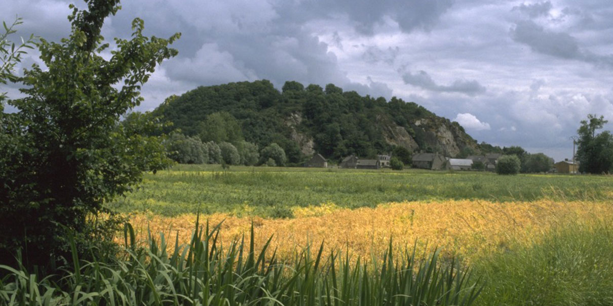 Au milieu des marais, le massif du Mont-Dol domine les marais de ses 65 mètres. © Inventaire général, Auteur inconnu